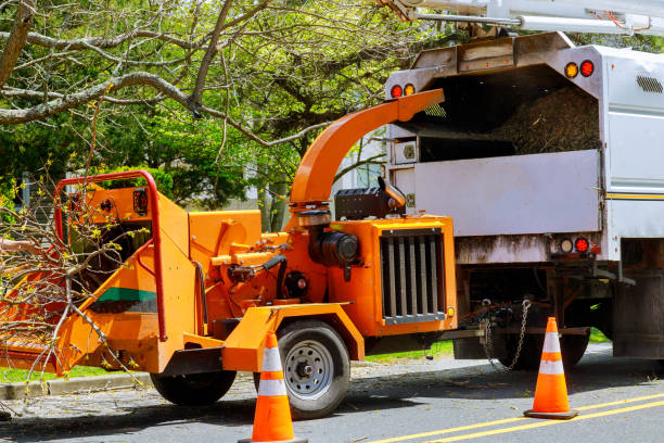 Best Aeration Services  in Lliams Bay, WI